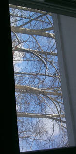 View from the window, sideways.