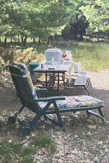 Lounge chair at the edge of the forest.