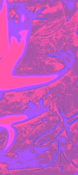 Solarized Bleeding Heart