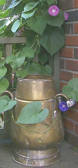 Copper Urn & Morning Glories