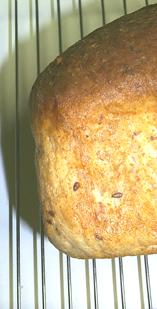 Loaf of Bread on Rack