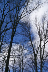 White clouds, blue sky.