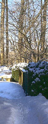 Snowy landscape, Southern Ontario