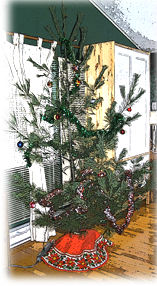 Christmas Tree 2004