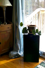 Bedsheet on the Window