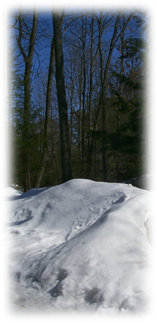 snow banks