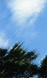 blue sky, clouds and treetops