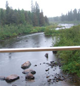 A brdige and a guardrail. 