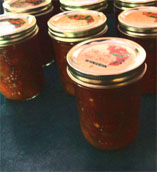 A row of canning jars full of salsa.
