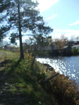 Lake sparkling in the sunshine.