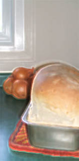 A Loaf of Sourdough Bread