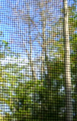 Looking through the mesh of screen.