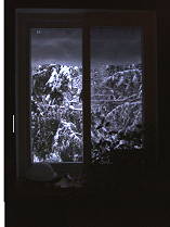 Early morning view out the window.