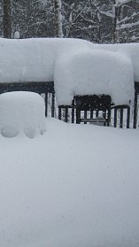 Too much snow on the deck.