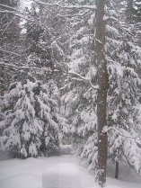 Snow Squall December 18, 2008