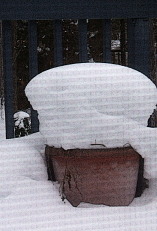 Planter with a snow cap, top hat.