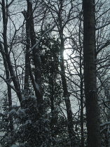 Staring at a weak winter sun.