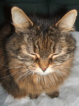 Mist scrunching up her face.