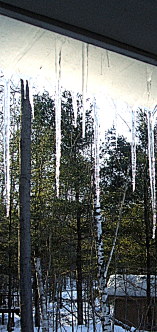 Our first icicles since December!