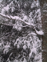 Snow Squall another one