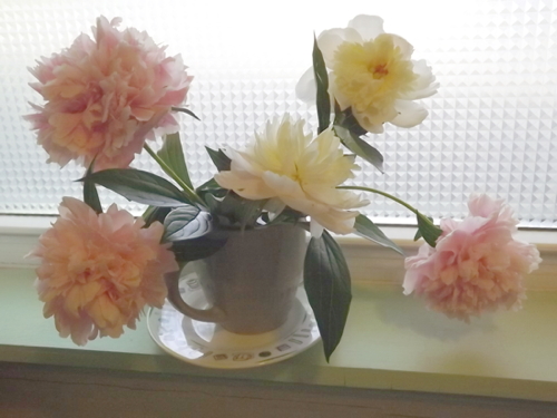 2015 jun 16 peonies