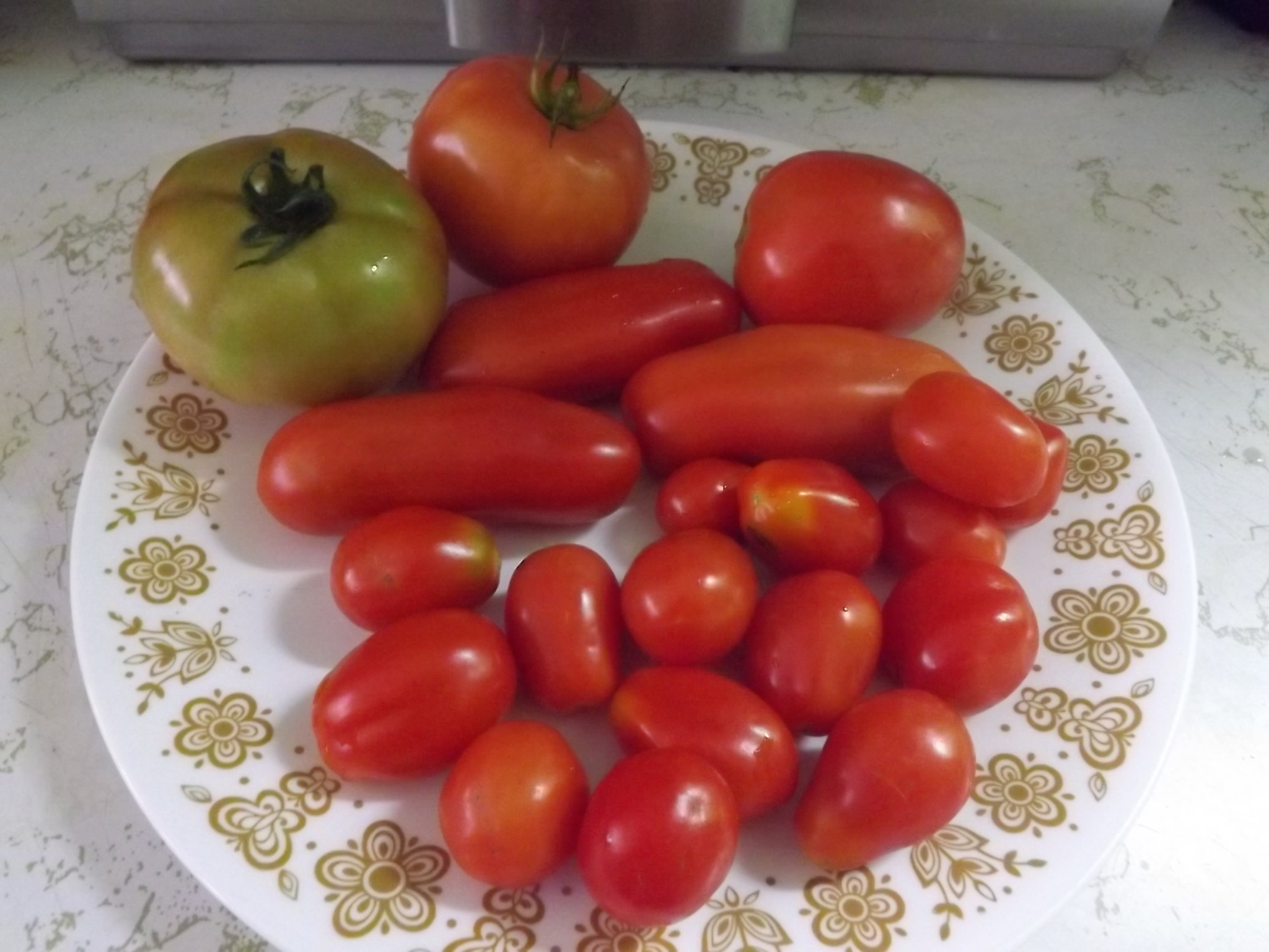 different varieties of tomatoes on a plate