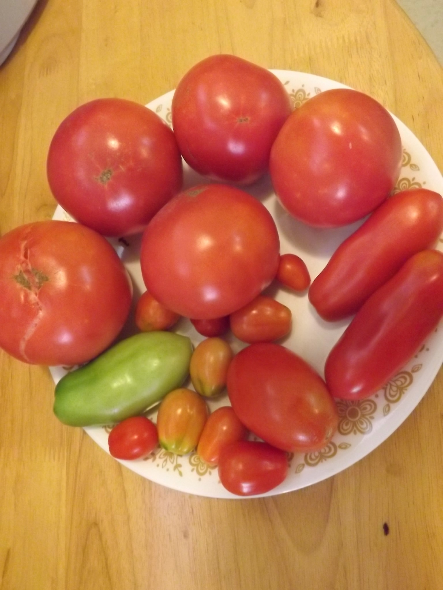 Plate of ripe tomatoes, four varieities.