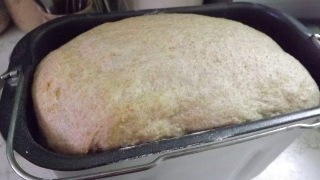 Bread dough in bread machine pan.