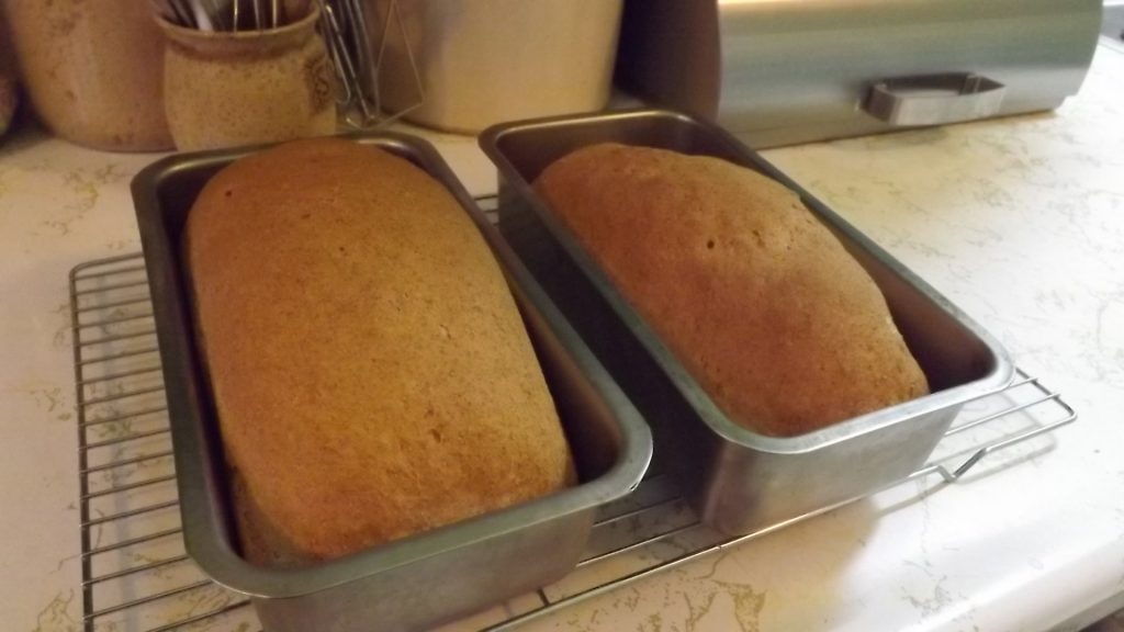 Two small loaves of bread in the pans.