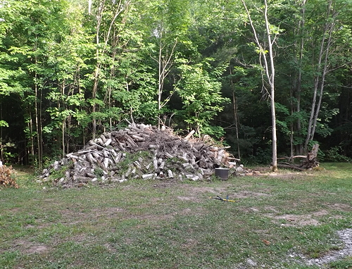 Rideau cedar log pile july