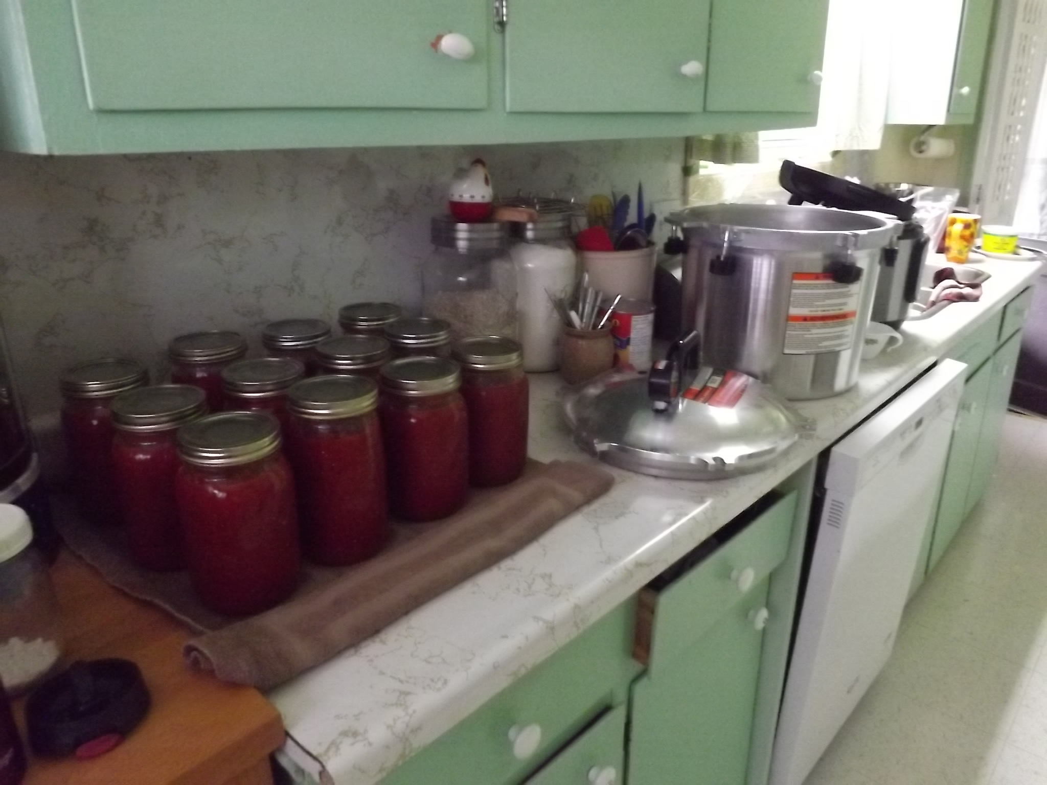 jars of tomatoes on kitchen counter