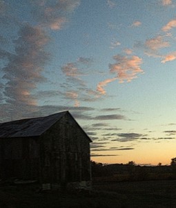 Barn near our little house in the city.