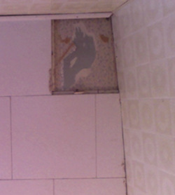 Bathroom ceiling tile original