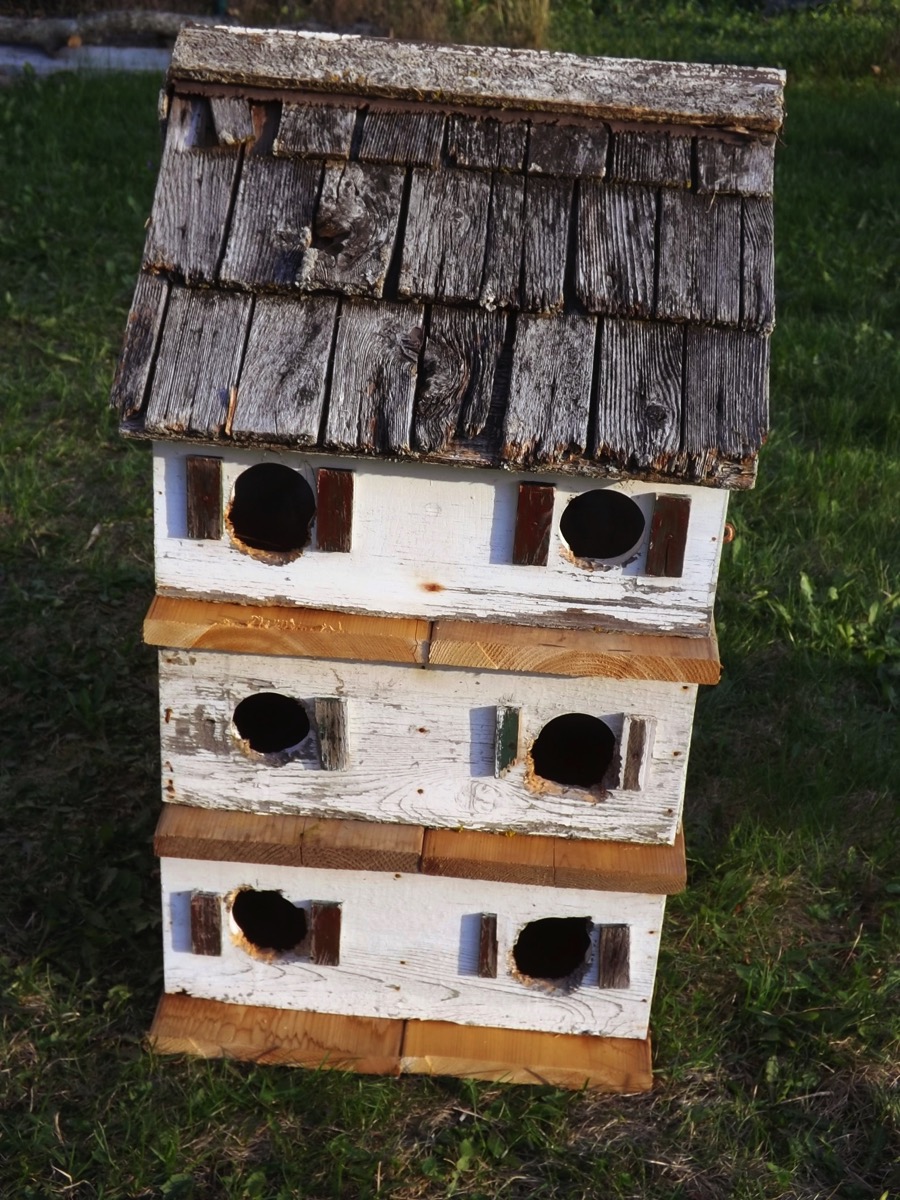 Bird house 2018