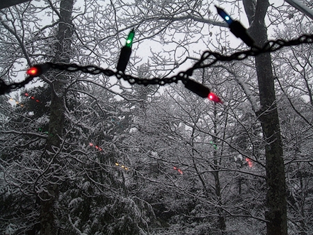 Christmas Lights on a darkening winter's evening.