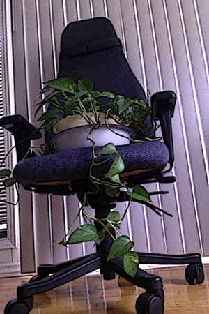 Chairplanter
