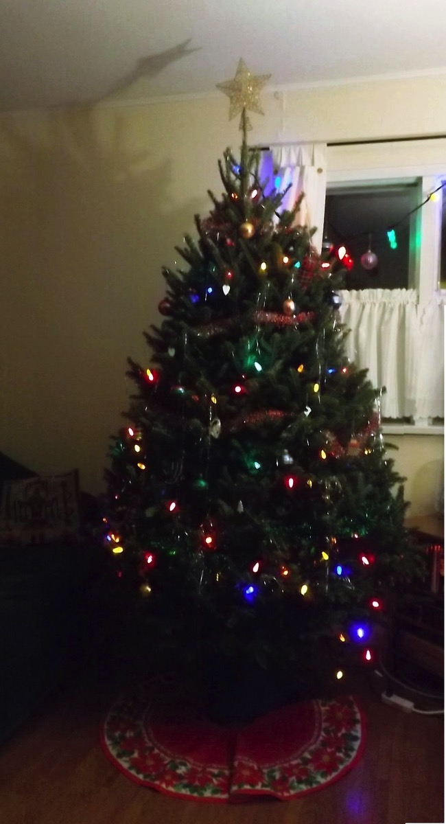 Christmas tree 2016