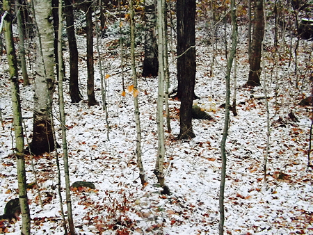 First snow fall 2014