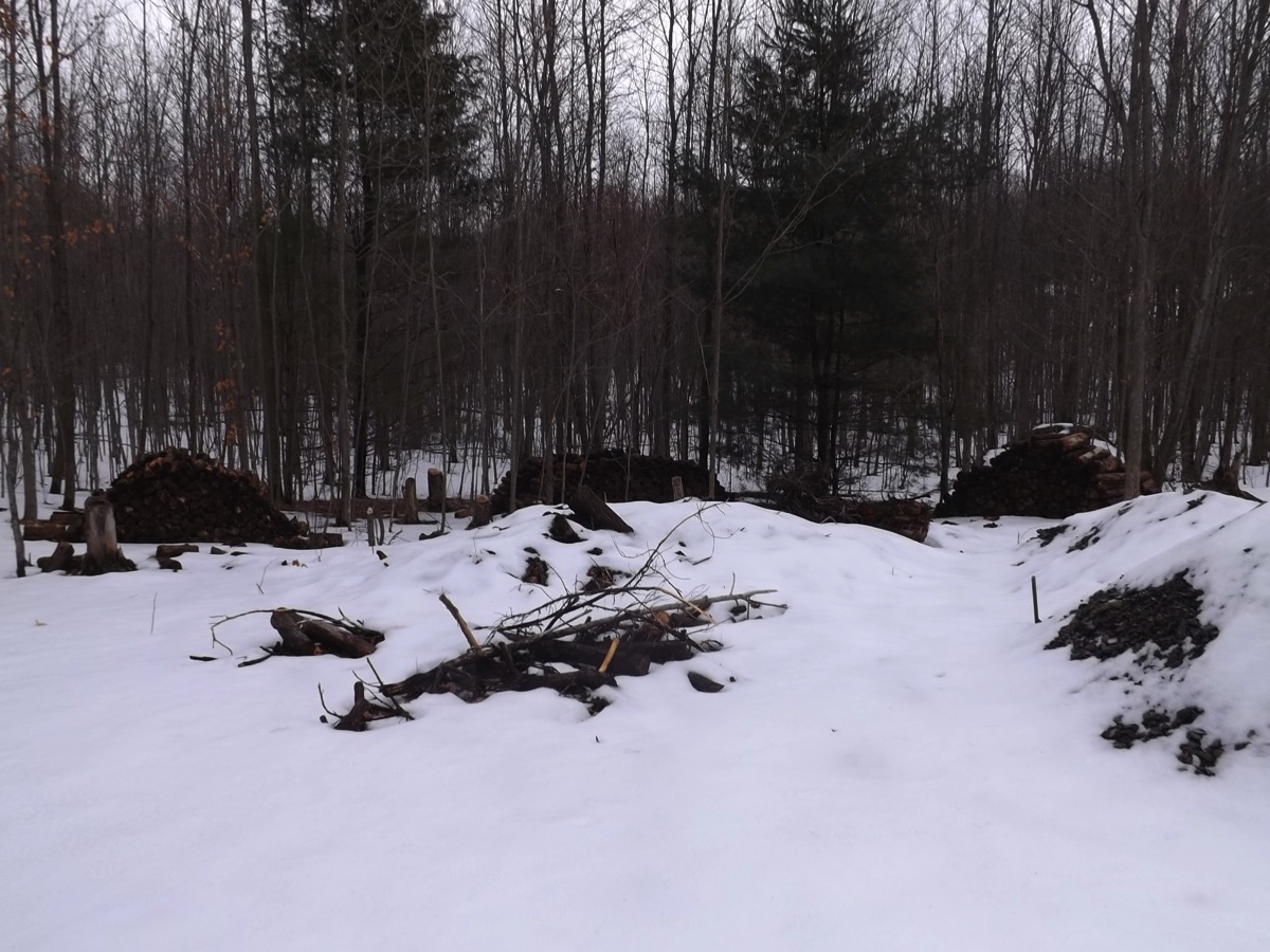 Log pile january 2017