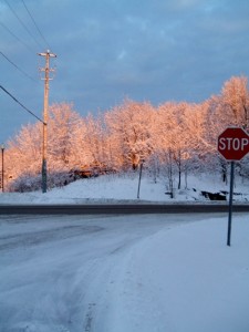 My drive to work one morning in Muskoka.