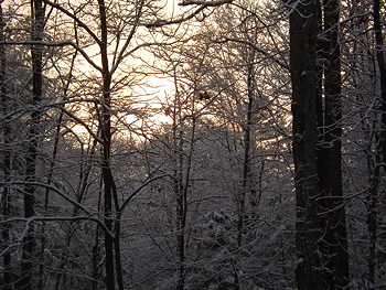 October2013SNOW