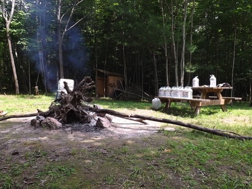 Pine stump burn Rideau Camp july 29