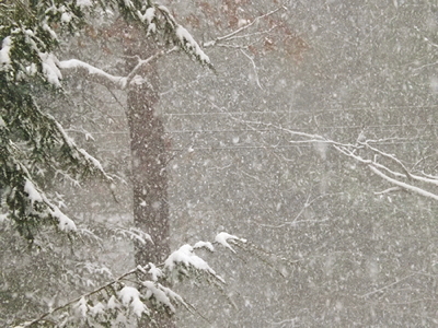 Snowsquall2014NOV