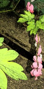 Flower and Leaf against the Boards