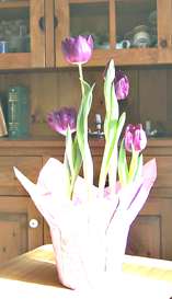 Purple Tulips in the sun.