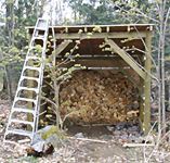 Attila's building a woodshed.