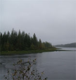 A northern lake.
