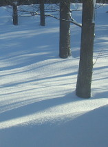 Snow  in March in Canada