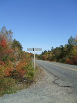 Autumn leaves along a northern Ontario Highway; Canada.