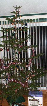 Christmas Tree 2008
